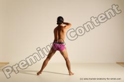 Elmer - Traditional Korean Art